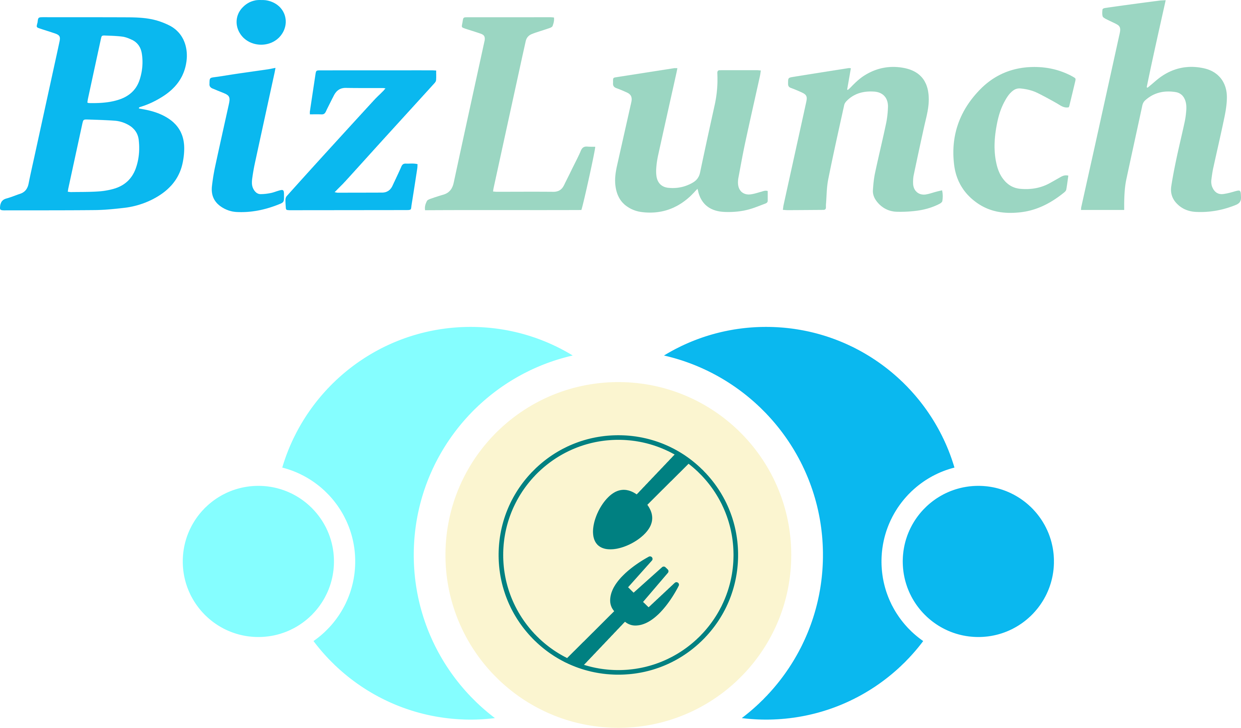 BizLunch App